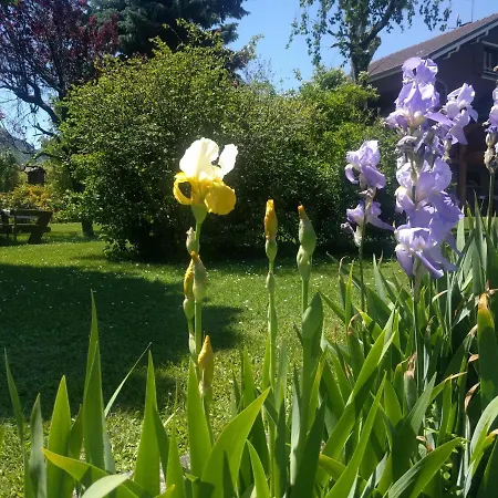 Les Cols - Avec Terrasse & Jardin - Proche De La Nouvelle Gare Bed & Breakfast